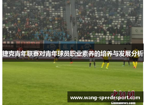 捷克青年联赛对青年球员职业素养的培养与发展分析