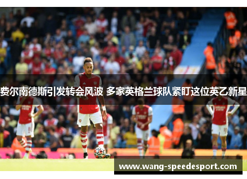 费尔南德斯引发转会风波 多家英格兰球队紧盯这位英乙新星