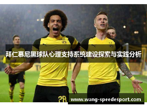 拜仁慕尼黑球队心理支持系统建设探索与实践分析