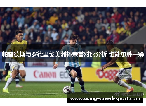 帕雷德斯与罗德里戈美洲杯荣誉对比分析 谁能更胜一筹