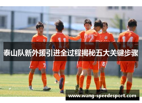 泰山队新外援引进全过程揭秘五大关键步骤