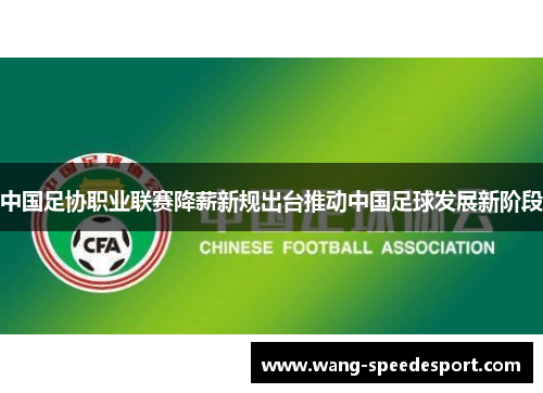 中国足协职业联赛降薪新规出台推动中国足球发展新阶段