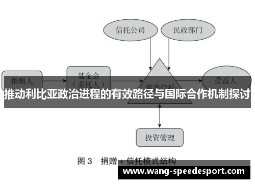 推动利比亚政治进程的有效路径与国际合作机制探讨