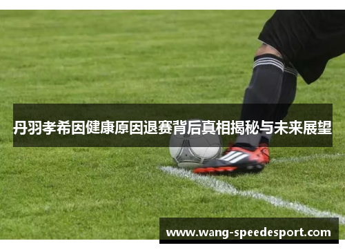 丹羽孝希因健康原因退赛背后真相揭秘与未来展望
