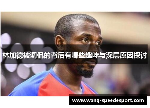 林加德被调侃的背后有哪些趣味与深层原因探讨