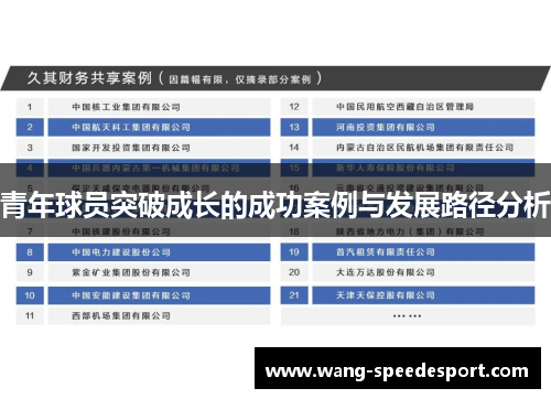 青年球员突破成长的成功案例与发展路径分析